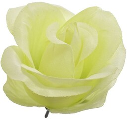 RÓŻA WYROBOWA PĄCZEK GŁÓWKA RÓŻY