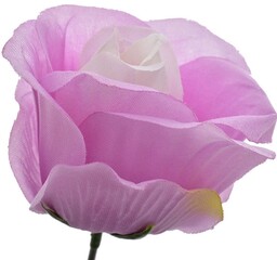 RÓŻA PĄK GŁÓWKA RÓŻY WYROBOWA