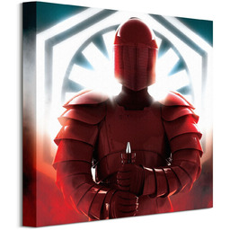 Gwiezdne Wojny Star Wars: The Last Jedi (Elite Guard Defend) - obraz na płótnie