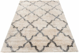 Profeos Prostokątny kremowy dywan shaggy C3-A31