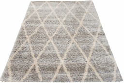 Profeos Szary prostokątny dywan w nowoczesny wzór F6-B49