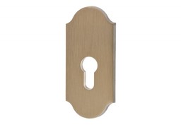 Rozeta AXA WB RETRO, kolor F9 - tytan szlifowany