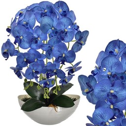 STORCZYK KOMPOZYCJA W DONICZCE