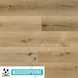 Panele winylowe SPC KORNER FLOOR DĄB JASNY KL 23-33 5 mm