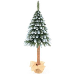 SASKA GARDEN Choinka na pniu 100 cm Jodła diamentowa