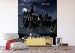 AG Design Fototapeta Harry Potter Fleece, AFTD3P 5176-412, 225 x 270 cm, wielokolorowa