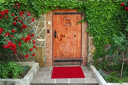 eGrass Premium Mata ze sztucznej trawy Ogród Balkon Taras, wewnętrzny i zewnętrzny, odporność na promieniowanie UV, przepuszczalna dla wody, gwarancja VALENCIA - WYCIERACZKA - CZERWONA 44CM x 66CM