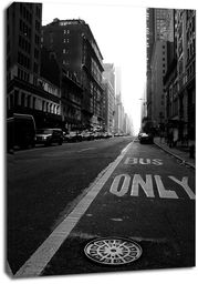 Nowy Jork. New York, only - obraz na płótnie Wymiar do wyboru: 90x120 cm