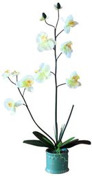 SZTUCZNA ORCHIDEA STORCZYK KWIAT SZTUCZNE KWIATY