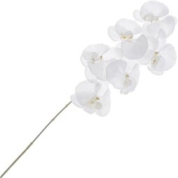 STORCZYK GAŁĄZKA 80 CM