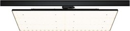 Paulmann 96582 ProRail3 LED Panel Deck 6600lm 75W 3000K 230V czarny, szynowy system oświetleniowy