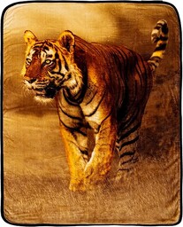 Northwest Savanna Tiger ponadwymiarowy koc raszlowy, 152 x 203 cm