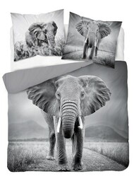 Detexpol Pościel bawełniana 160x200 3813 A Słoń szara młodzieżowa Słonie elephant Holland Natura 2