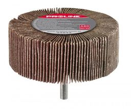 PROLINE Ściernica listkowa trzpieniowa a100 60x30