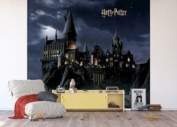 AG Design ADTD4P 7804-412 Harry Potter fototapeta z włókniny, 300 x 270 cm