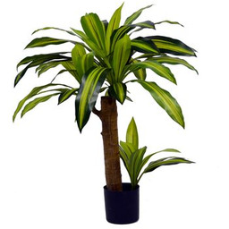 Roślina w donicy 75 cm