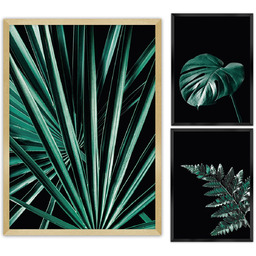 Zestaw obrazów Botanica 3szt., 70x100cm/ 40x50cm