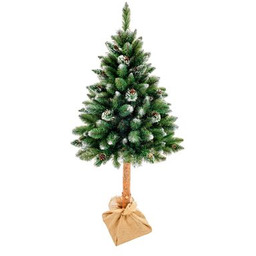 Choinka Aspen na pniu 160 cm