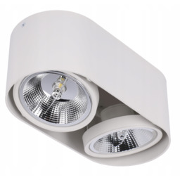 Oprawa sufitowa natynkowa SPOT AR111 GU10 biała, 2xAR111
