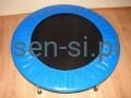 Trampolina 96-100 cm