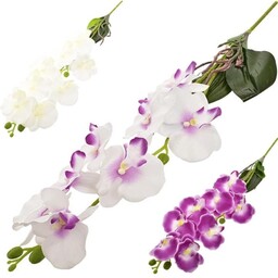 STORCZYK GAŁĄZKA X 2