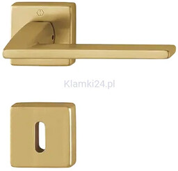 Bergamo - Klamki z kwadratowym szyldem z mosiądzu, złoty F78-1 Resista