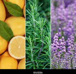 Millefiori Milano Pałeczki zapachowe 100 ml Riviera