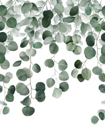 Fototapeta mural wzór roślinny Grandeco Orom 2 A73201 159x280