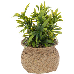 Atmosphera Sztuczna roślina w doniczce JIL, wys. 20 cm