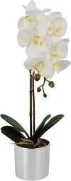 Leaf Design UK Realistyczny sztuczny kwiat orchidei ekspozycja w doniczce