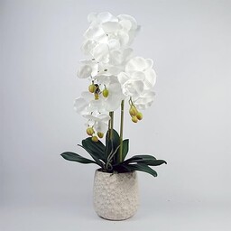 Leaf Design UK Realistyczny sztuczny kwiat orchidei ekspozycja w doniczce