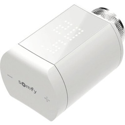 SOMFY Głowica termostatyczna 1870508 Zyskaj
