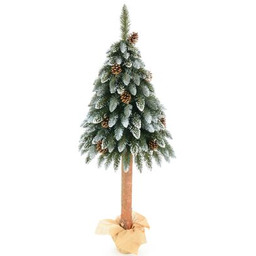 Jodła diamentowa z szyszkami na pniu 140 cm