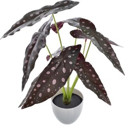 BEGONIA KORALOWA SZTUCZNA W DONICZCE x9 40 cm