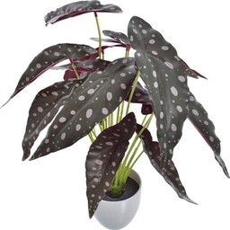 BEGONIA KORALOWA SZTUCZNA W DONICZCE x18 40 cm