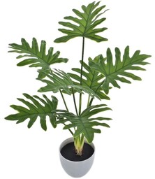 FILODENDRON SZTUCZNY W DONICZCE 50 CM