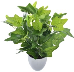 BLUSZCZ SZTUCZNY W DONICZCE 30 CM (palczasty)