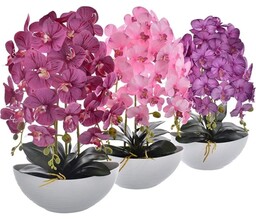 KOMPOZYCJA KWIATOWA STORCZYK 3 PĘDY W DONICZCE ŁÓDKA