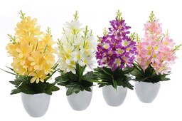 LEWKONIA W DONICZCE KOMPOZYCJA KWIATOWA 35 CM