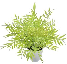 KOMPOZYCJA GAŁĄZKI BAMBUSA X5 W DONICZCE 35CM