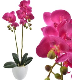 KOMPOZYCJA STORCZYK X2 W DONICZCE 45CM