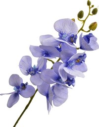 STORCZYK GAŁĄZKA ORCHIDEA ŁODYGA 80 CM