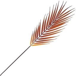 LIŚĆ PALMY ŚREDNI 60CM