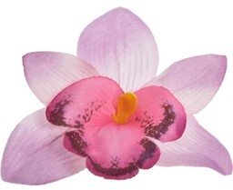 Storczyk wyrobowy dirty pink