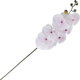 STORCZYK GAŁĄZKA KWIAT ORCHIDEA ŁODYGA 100 CM