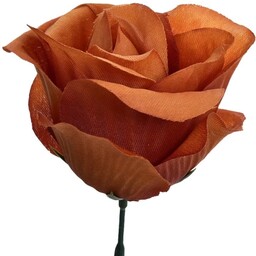 RÓŻA PĄK LEKKO ROZWINIĘTA BRĄZOWA