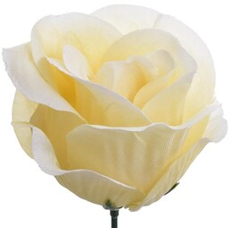 RÓŻA PĄK MAŁA LEKKO ROZWINIĘTA KREMOWA