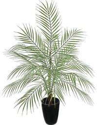 KOMPOZYCJA PALMA W DONICZCE 6 LIŚCI