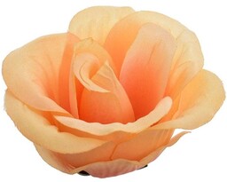 RÓŻA PĄK MAŁA LEKKO ROZWINIĘTA ŁOSOSIOWA