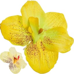 STORCZYK WYROBOWY ŻÓŁTY